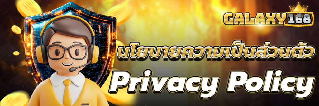 นโยบายความเป็นส่วนตัว